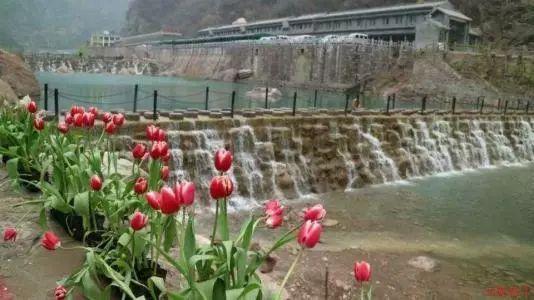 城市街道找不同