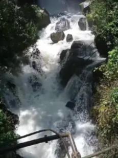 守护飞行城堡